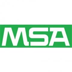 msa_logo