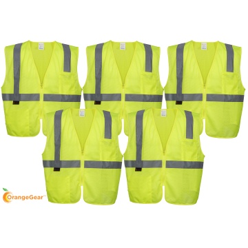 lime-5-pack_1767528773