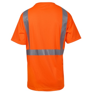 orange-back_101326063